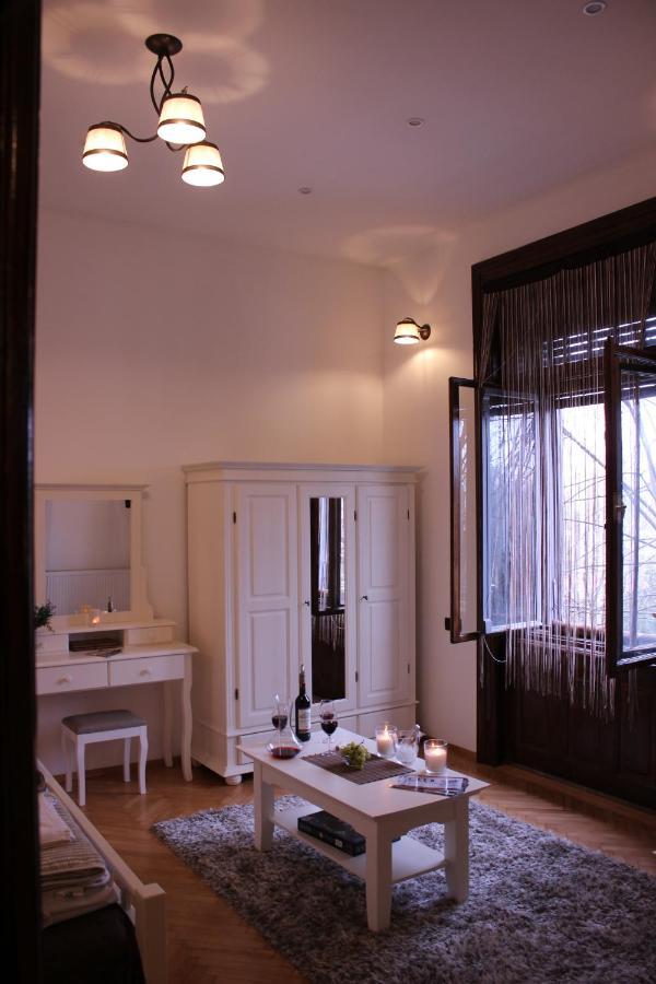 Ella Apartment Timisoara No9 Exteriér fotografie